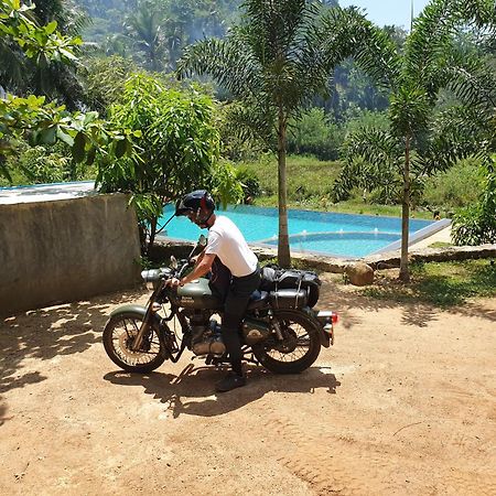 Sinharaja Hostel Deniyaya Bagian luar foto