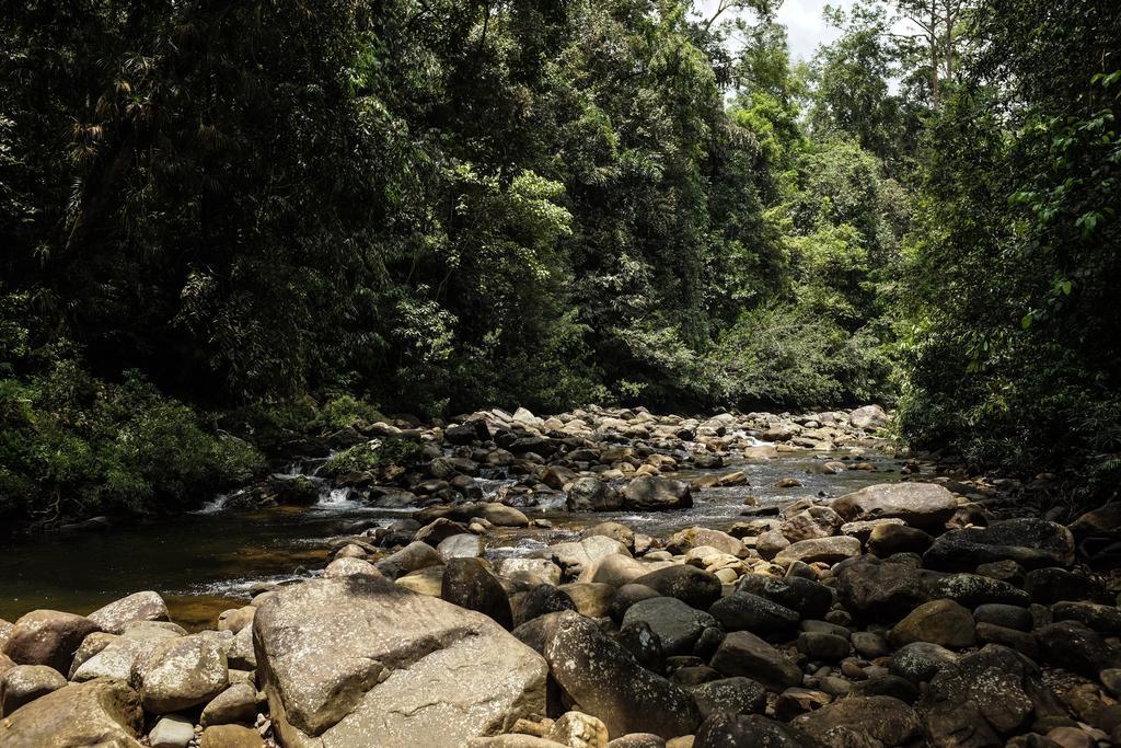 Sinharaja Hostel Deniyaya Bagian luar foto